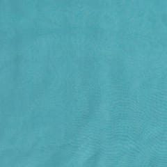 Light Firozi Colour Georgette fabric