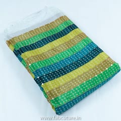 Green Colour Chinon Chiffon Print With Embroidered Fabric