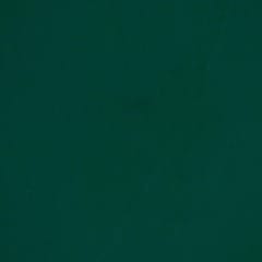 Green Colour BSY Crepe Spandex fabric