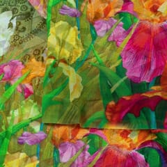 MultiColour Georgette Digital Printed Fabric