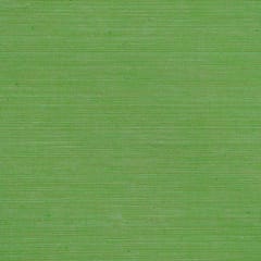 Parrot Green Colour Rayon Slub fabric