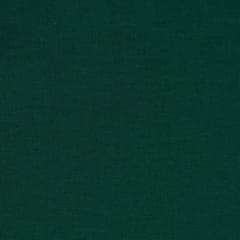 Bottel Green Colour Rayon Slub fabric
