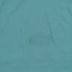 Sage Poly Georgette fabric