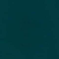 Bottel Green Poly Georgette fabric