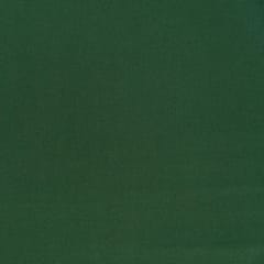 Green Colour Pure Pashmina fabric