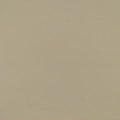 Fawn Colour Pure Pashmina fabric