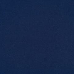 Blue Colour Pure Pashmina fabric