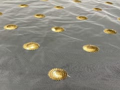 Dyeable Embroidered Net White Dark Golden Circles