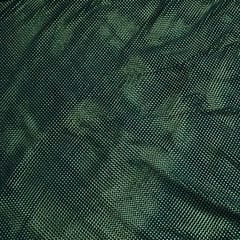 Green Colour Net Saroaski Embroidery