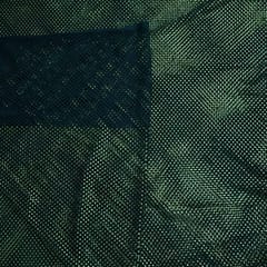 Green Colour Net Saroaski Embroidery