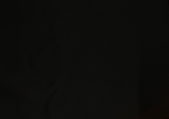 Sandwich Orange Black Dual Colour