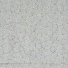 White Dyeable Organza Embroidered Fabric
