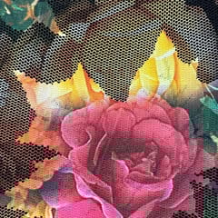 Multi Colour Net Printed Fabric