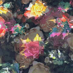 Multi Colour Net Printed Fabric