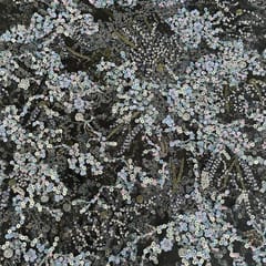 Multi Colour Net Embroidered Fabric