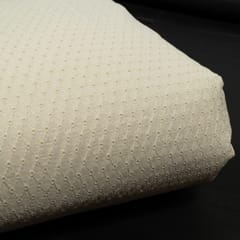 Dyeable Cotton Chikan Embroidered Fabric