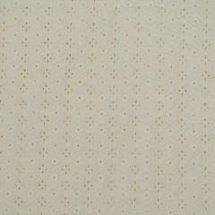 Dyeable Cotton Chikan Embroidered Fabric