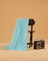 Light Sky Blue Shade Embroidered Cotton Hakoba Fabric