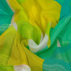 Multi Colour Chiffon Digital Printed Fabric