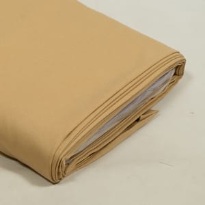 Beige Colour Pashmina Fabric