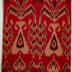 Gajree Colour Cotton Ikat Fabric