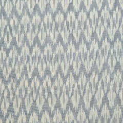 White and Blue Colour Cotton Ikat Fabric