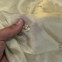 Dyeable Tissue Upada Embroidered Fabric