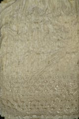 Dyeable Tissue Upada Embroidered Fabric