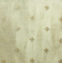 Golden Beige Gold Zari Butti Dyeable Fabric