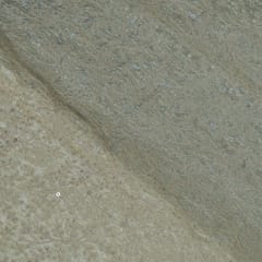 Dyeable Tissue Upada Zari Embroidered Fabric