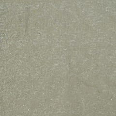 Dyeable Tissue Upada Zari Embroidered Fabric