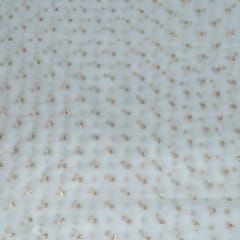 Dyeable Organza Embroidered Fabric