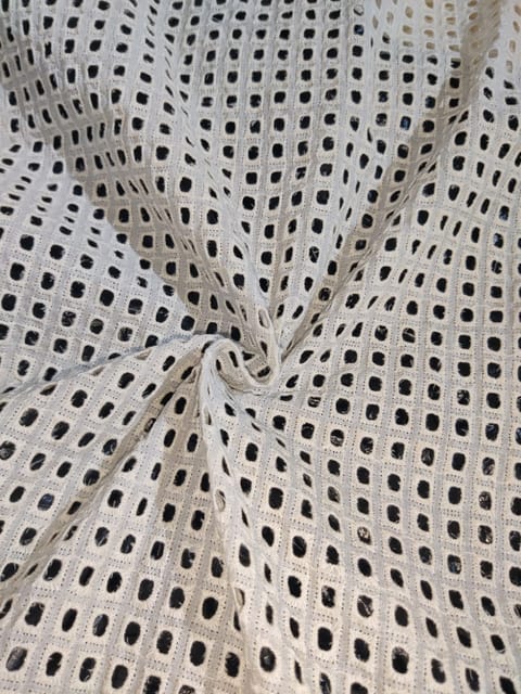 Natural Colour Dyeable Panta Floral Pattern Schiffli Embroidered Fabric