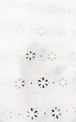 Natural Colour Dyeable Panta Floral Pattern Schiffli Embroidered Fabric