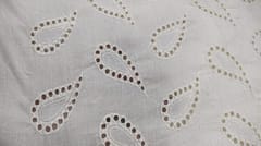 Natural Colour Dyeable Panta Floral Pattern Schiffli Embroidered Fabric