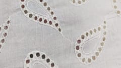 Natural Colour Dyeable Panta Floral Pattern Schiffli Embroidered Fabric