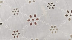 Natural Colour Dyeable Panta Floral Pattern Schiffli Embroidered Fabric