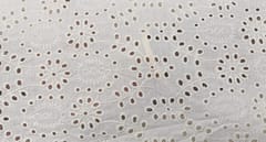 Natural Colour Dyeable Panta Floral Pattern Schiffli Embroidered Fabric