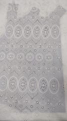 Natural Colour Dyeable Panta Floral Pattern Schiffli Embroidered Fabric
