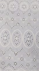 Natural Colour Dyeable Panta Floral Pattern Schiffli Embroidered Fabric