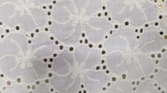 Natural Colour Dyeable Panta Floral Pattern Schiffli Embroidered Fabric