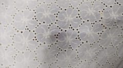 Natural Colour Dyeable Panta Floral Pattern Schiffli Embroidered Fabric