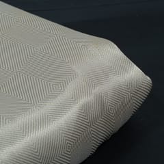 Dyeable Brocade Organza Fabric
