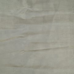 Dyeable Brocade Organza Fabric