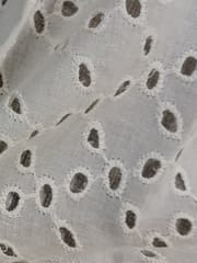 Natural Colour Dyeable Panta Floral Pattern Schiffli Embroidered Fabric