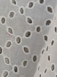 Natural Colour Dyeable Panta Floral Pattern Schiffli Embroidered Fabric