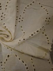 Natural Colour Dyeable Panta Floral Pattern Schiffli Embroidered Fabric