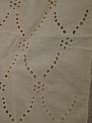 Natural Colour Dyeable Panta Floral Pattern Schiffli Embroidered Fabric