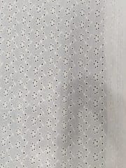 Natural Colour Dyeable Panta Floral Pattern Schiffli Embroidered Fabric