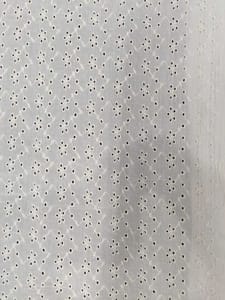 Natural Colour Dyeable Panta Floral Pattern Schiffli Embroidered Fabric